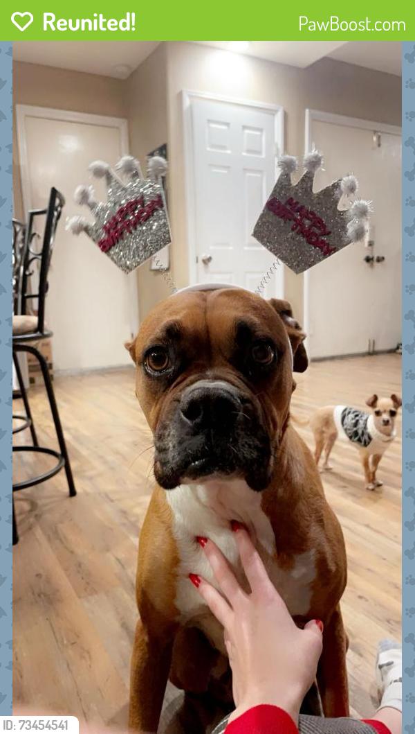 Reunited Female Dog last seen Fulton, San Marcos, CA 92069