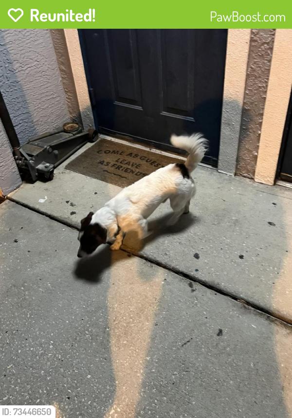 Reunited Male Dog last seen In Spring Harbor Circle Neighborhood, Mount Dora, FL 32757