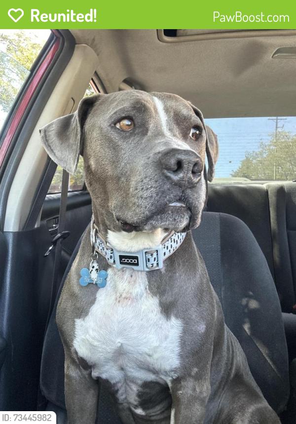 Reunited Male Dog last seen Deer valley rd, Cameron Park, CA 95672