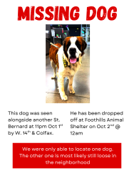 Found/Stray Male Dog last seen West 14th ave, Lakewood, CO 80215