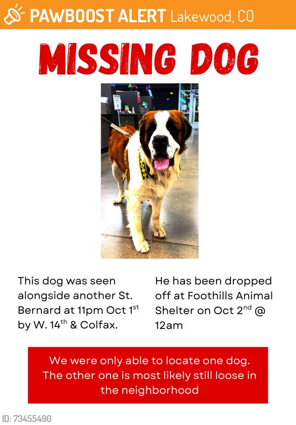 Found/Stray Male Dog last seen West 14th ave, Lakewood, CO 80215