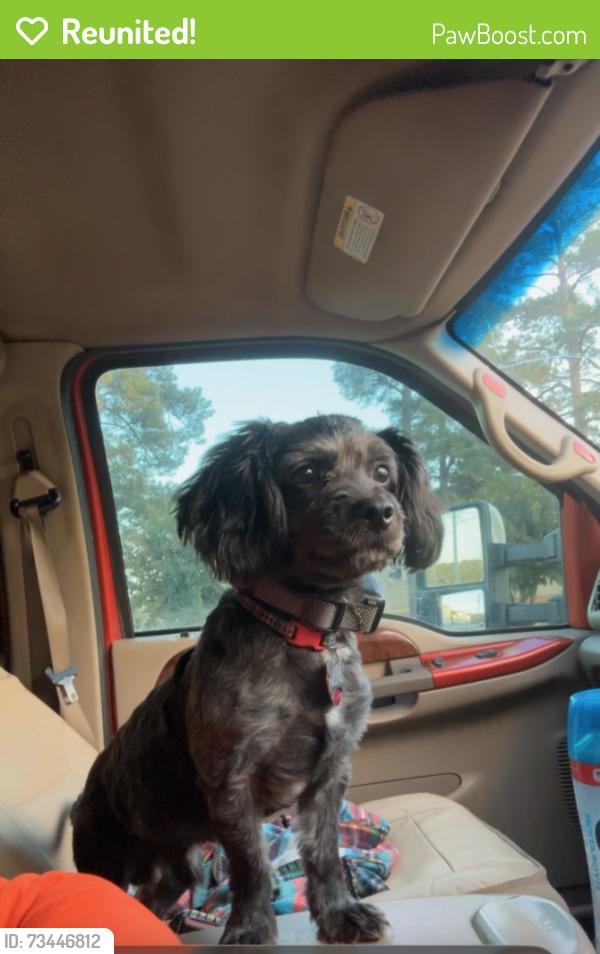 Reunited Male Dog last seen I-95 North, I-95,  23867