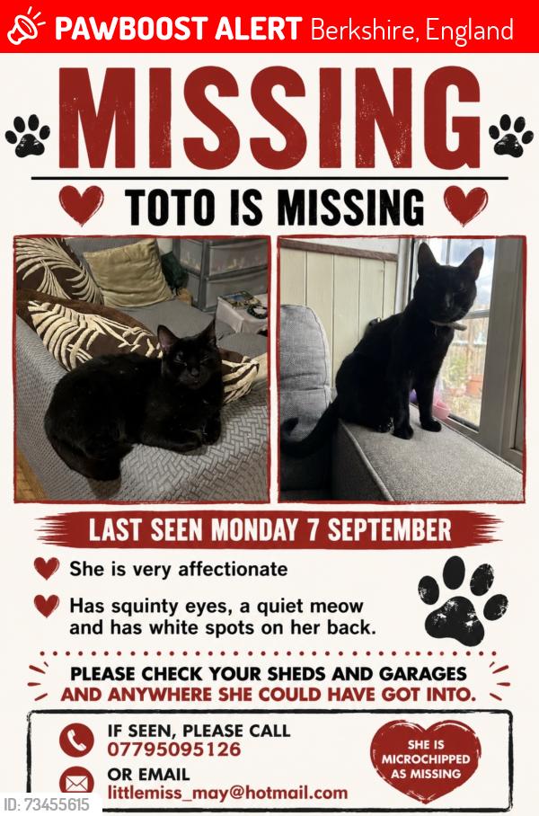 Lost Female Cat last seen Lynch hill lane, Berkshire, England 