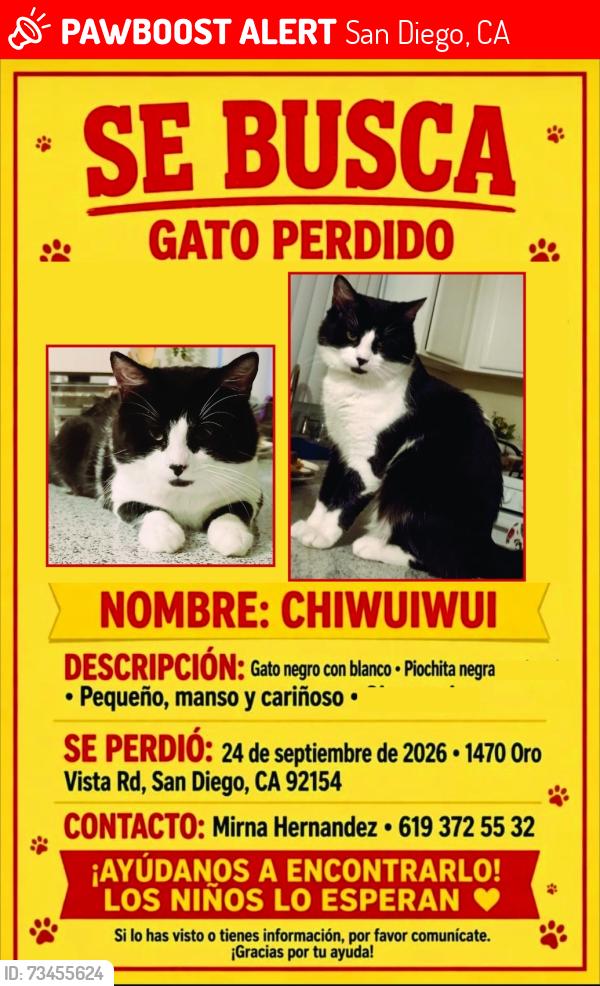 Lost Male Cat last seen Iris ave, San Diego, CA 92154