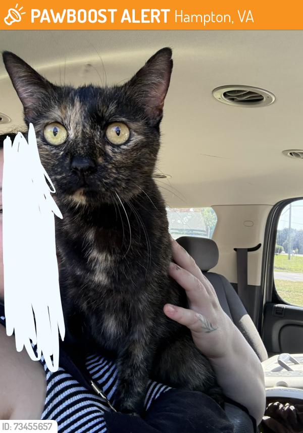 Found/Stray Female Cat last seen big bethel and saunders rd, Hampton, VA 23665