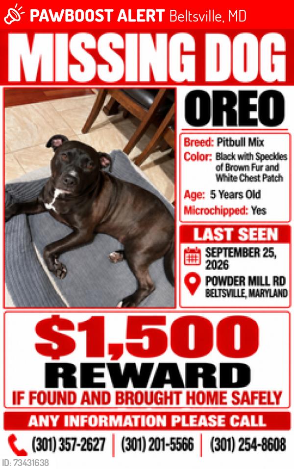 Lost Male Dog last seen powder mill rd & roby ave, Beltsville, MD 20705