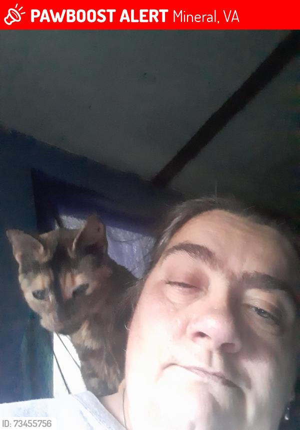 Lost Female Cat last seen Home, Mineral, VA 23117