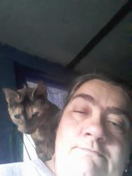 Lost Female Cat last seen Home, Mineral, VA 23117