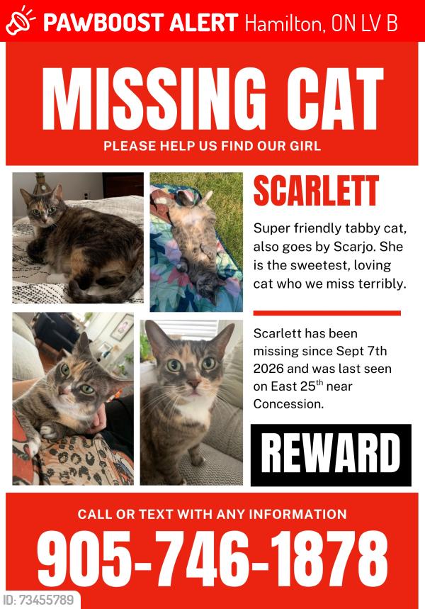 Lost Female Cat last seen Concession and east 25th by la Luna, Hamilton, ON L8V 1B7
