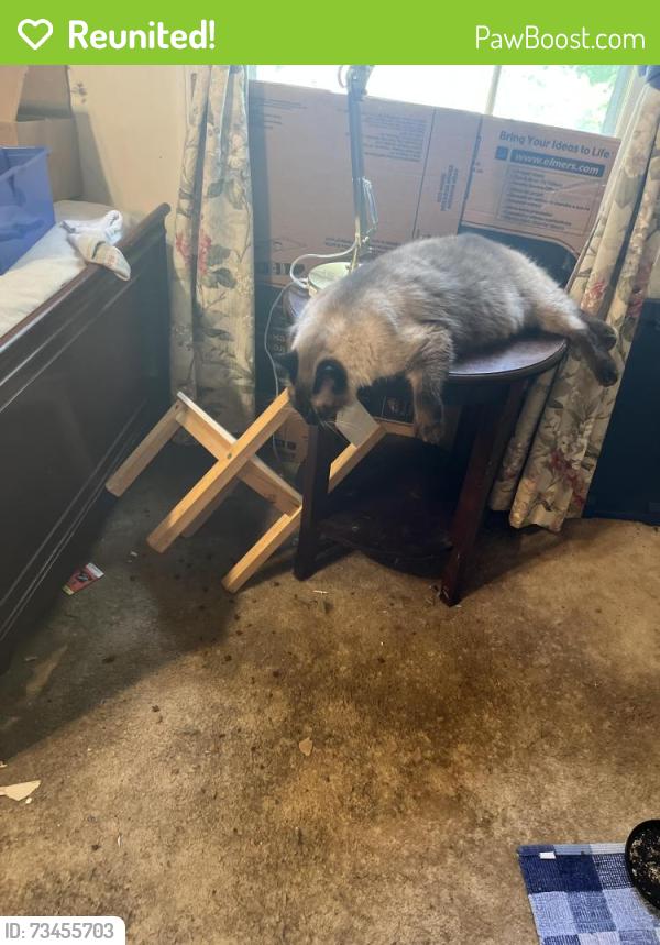 Reunited Male Cat last seen Heartwood and Leafmore Road, Rome, GA 30165