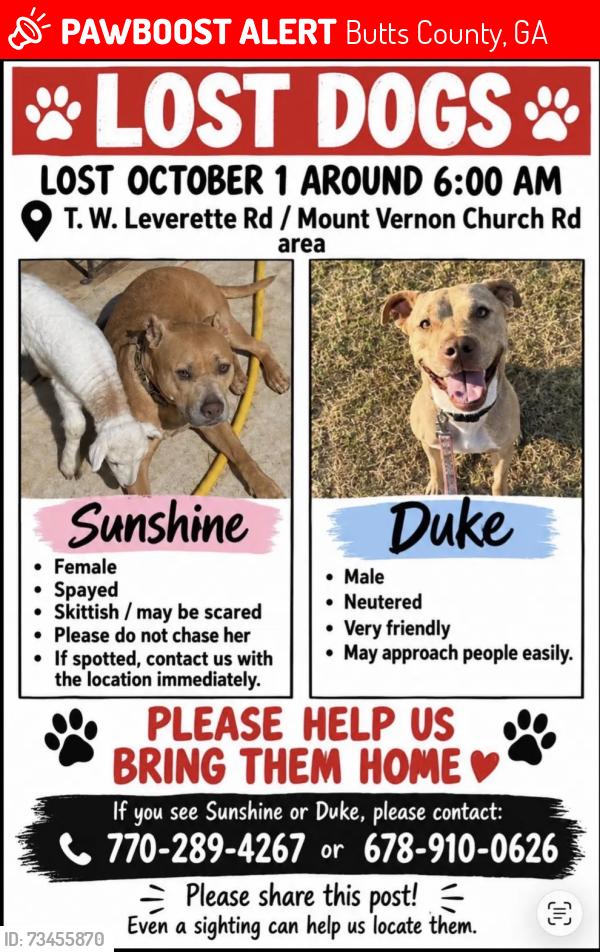 Lost Unknown Dog last seen Dauset trails, Butts County, GA 30233