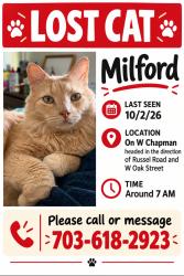 Reunited Male Cat last seen Russell, Alexandria, VA 22301