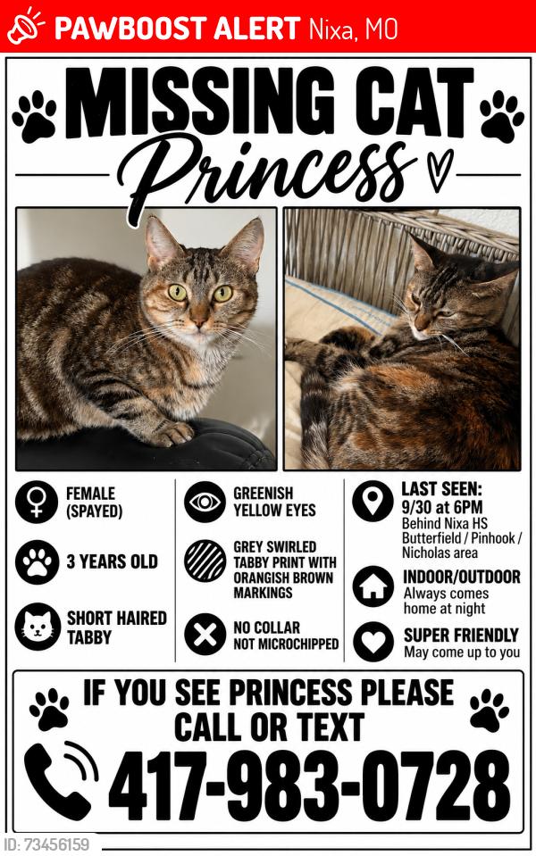 Lost Female Cat last seen Butterfield, Nicholas, Pinhook, Nixa, MO 65714