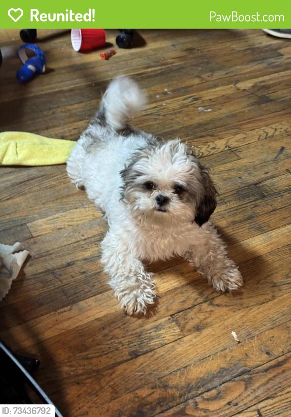 Reunited Female Dog last seen Central Green Park - 3rd ave and 34th st e, Minneapolis, MN 55408