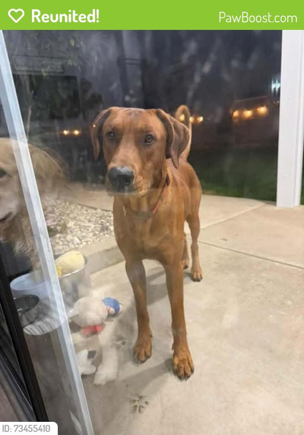 Reunited Male Dog last seen Fermoy, Galt, CA 95632