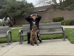Lost Male Dog last seen Phoenix park apmts, Sacramento, CA 95823