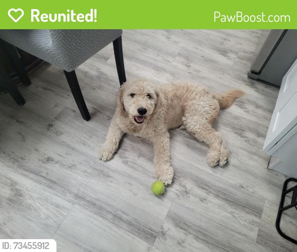 Reunited Male Dog last seen Cottondale dr, Deltona, FL 32738