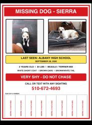 Lost Female Dog last seen Albany High School, Albany, CA 94706