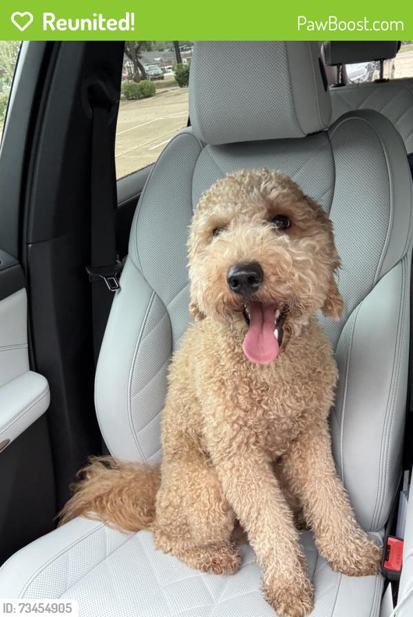 Reunited Male Dog last seen Near Teaswood, Conroe, TX 77304