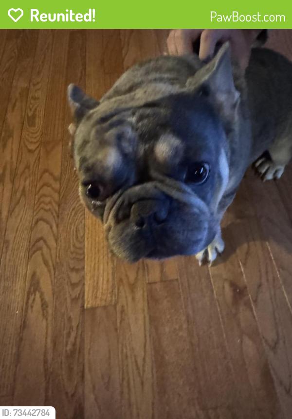 Reunited Male Dog last seen Nicewood Dr. and Eastwood Dr, Newport News, VA 23602
