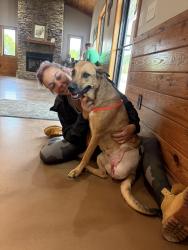 Lost Female Dog last seen Near and Sulphur springs, Murfreesboro, TN 37129
