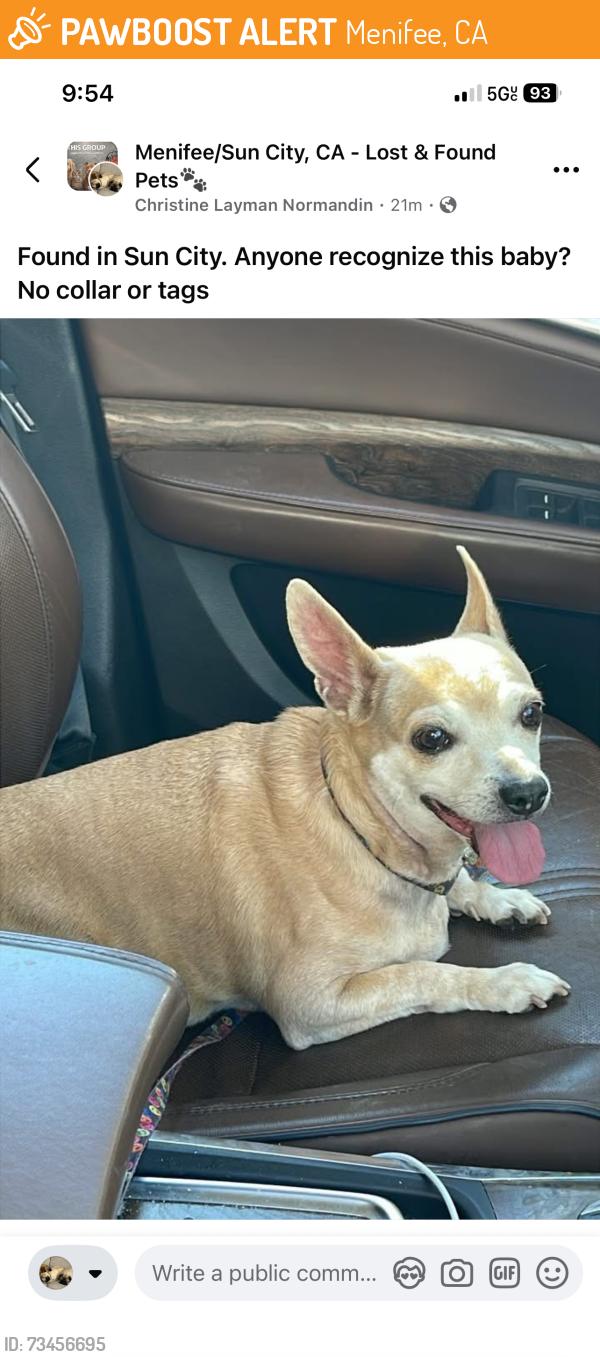 Found/Stray Female Dog last seen Chambers & Murrieta Rd, Menifee, CA 92586