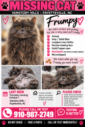 Reunited Female Cat last seen Vanstory Hills, Fayetteville, NC 28303