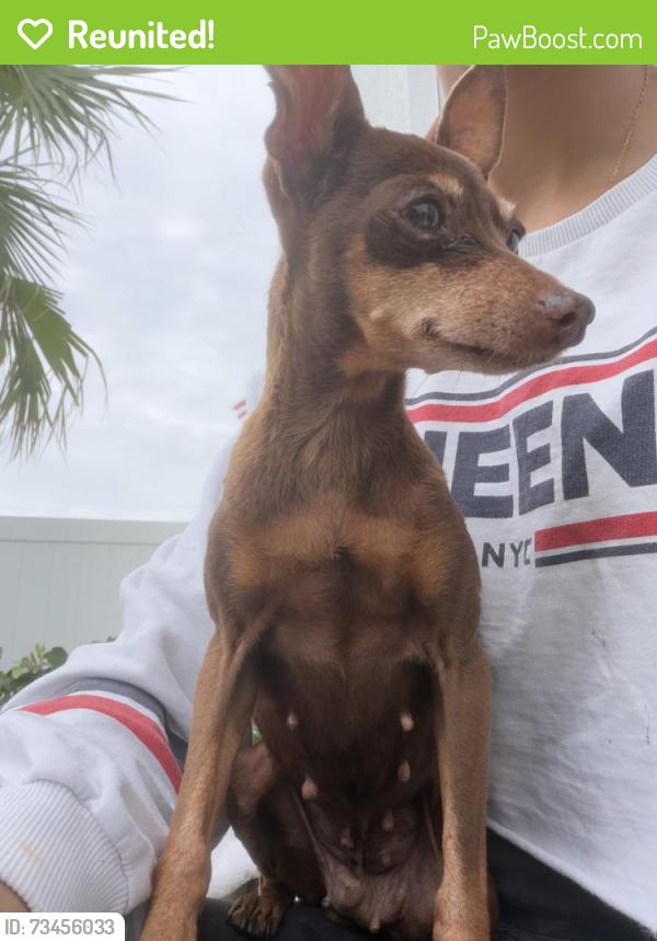 Reunited Female Dog last seen Off of 30th Ave East and 301, Bradenton, FL 34205