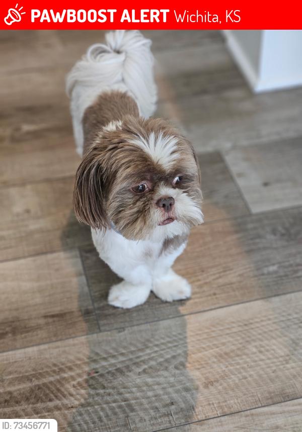 Lost Male Dog last seen Near s green, Wichita, KS 67211