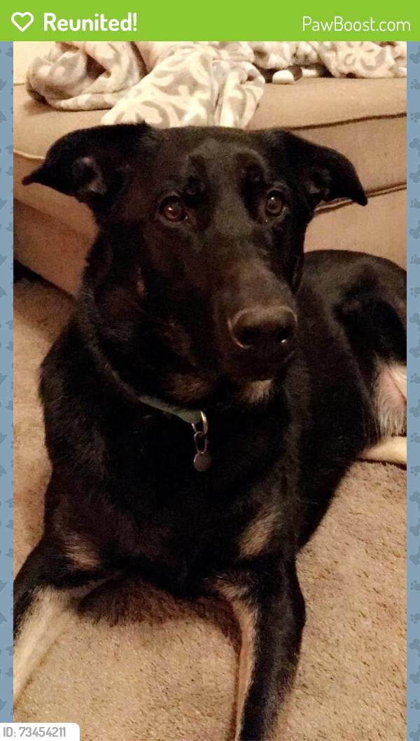 Reunited Male Dog last seen BSP (a park), a highschool and middle school are within a mile, there’s a small park in the neighborhood he likes as well, there’s also an elementary school down Franklin high road, Elk Grove, CA 95757