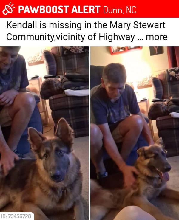 Lost Female Dog last seen Mary Stewart community Hwy 301 Dunn/Benson area, Dunn, NC 28334