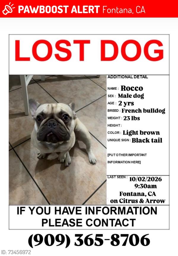 Lost Male Dog last seen Fontana, CAon Citrus & Arrow, Fontana, CA 92335