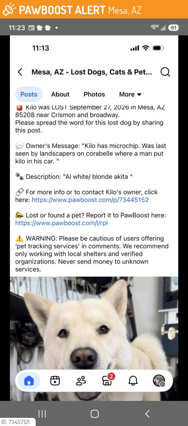 Found/Stray Male Dog last seen Crismon and Broadway, Mesa, AZ 85208