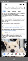 Found/Stray Male Dog last seen Crismon and Broadway, Mesa, AZ 85208