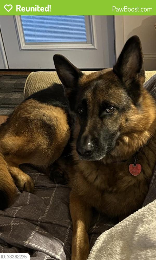 Reunited Male Dog last seen High Gables and Old Bark way, Cumming, GA 30041