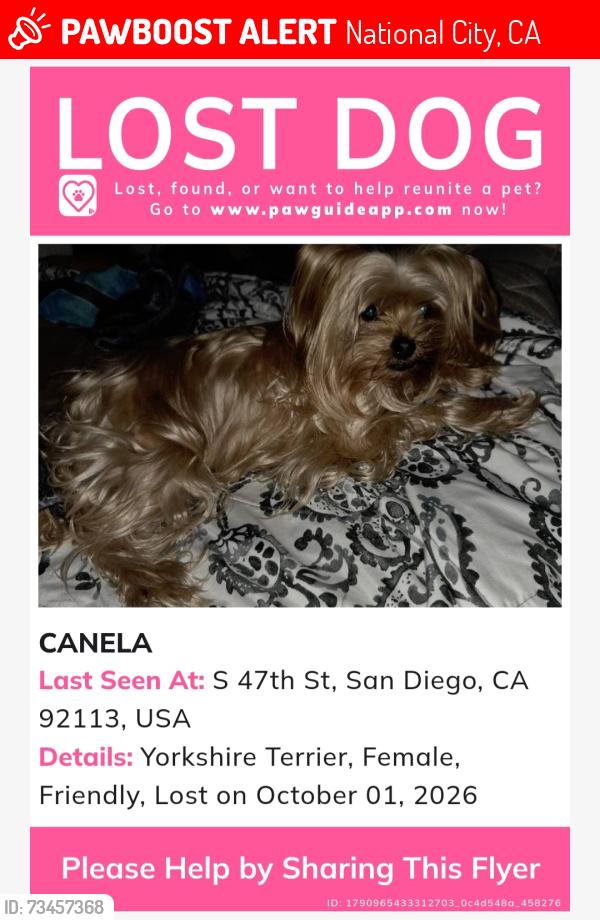 Lost Female Dog last seen Solola and 47th St., National City, CA 92113