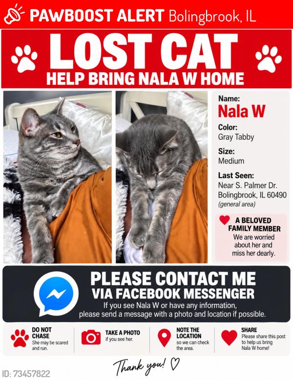 Lost Female Cat last seen Boughton, Bolingbrook, IL 60490