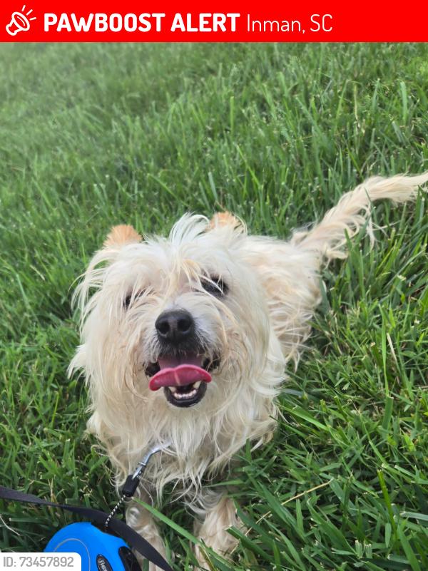 Lost Male Dog last seen Brown Arrow and Oliver Circle, Inman, SC 29349