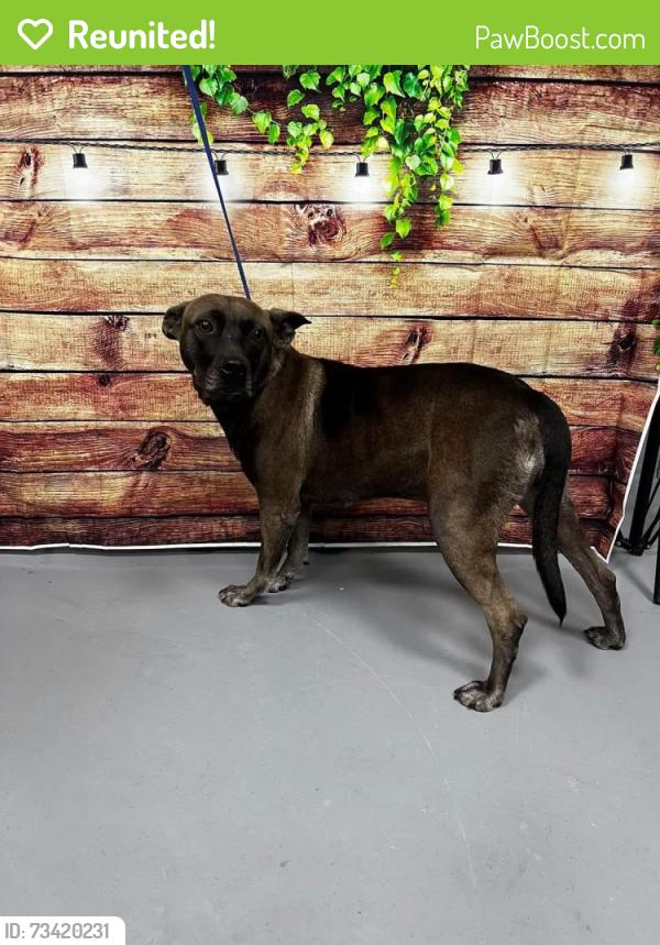 Reunited Unknown Dog last seen Located at Rockdale County Animal Service, 1506 Rockbridge Road, Conyers, GA 30012, Conyers, GA 30012