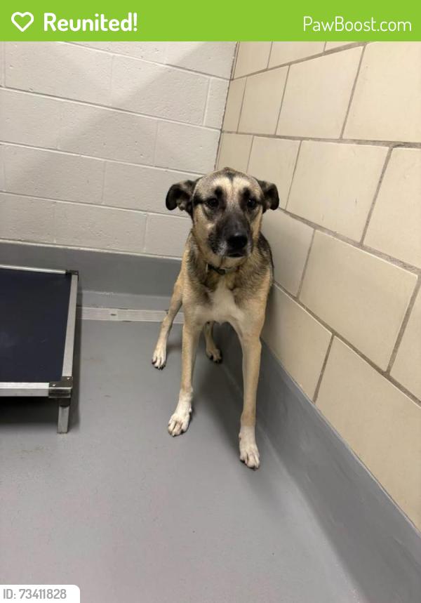 Reunited Unknown Dog last seen Located at Rockdale County Animal Service, 1506 Rockbridge Road, Conyers, GA 30012, Conyers, GA 30012