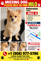 Lost Male Dog last seen Near Hillcrest Ave, Plainfield NJ 07062, Plainfield, NJ 07062
