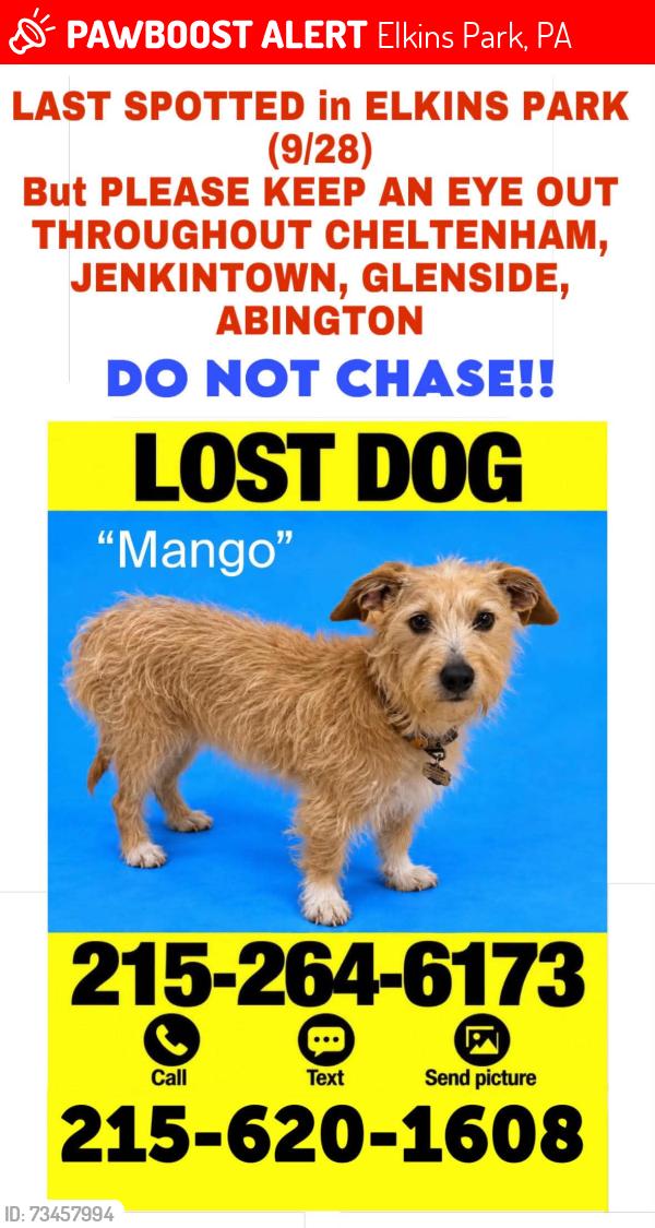 Lost Male Dog last seen Old York Road &twp Line Road Elkins Park, PA, Elkins Park, PA 19027