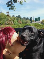 Lost Male Dog last seen Near levee rd, Portland, OR 97211