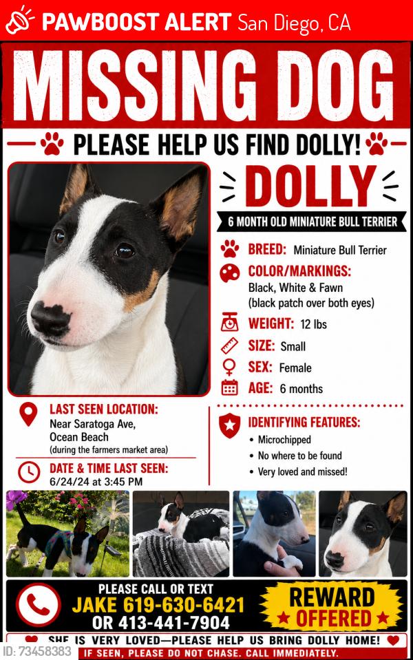 Lost Female Dog last seen Corner of bacon & Saratoga, San Diego, CA 92107