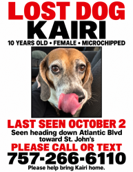 Reunited Female Dog last seen She’ll gas station between St. John’s bluff and Atlantic., Jacksonville, FL 32225