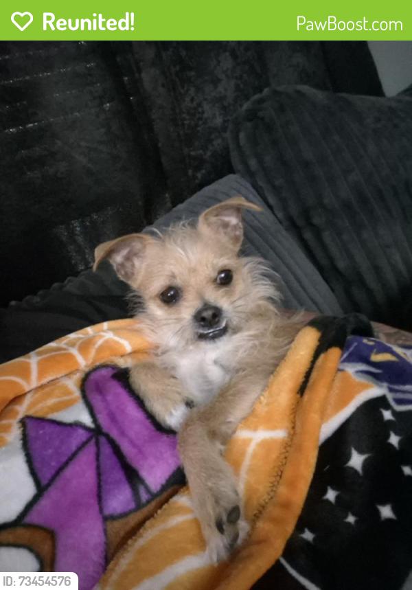 Reunited Male Dog last seen Near Cedar Cir, Conroe, TX 77302, USA, Conroe, TX 77302