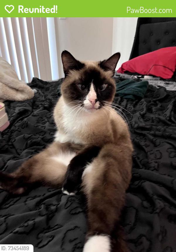 Reunited Male Cat last seen Near neighborhood, Charlotte, NC 28227
