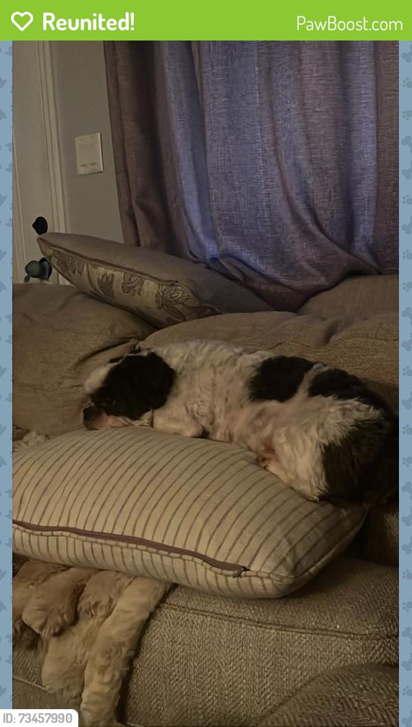 Reunited Male Dog last seen Ward Rd, Columbus, OH 43224