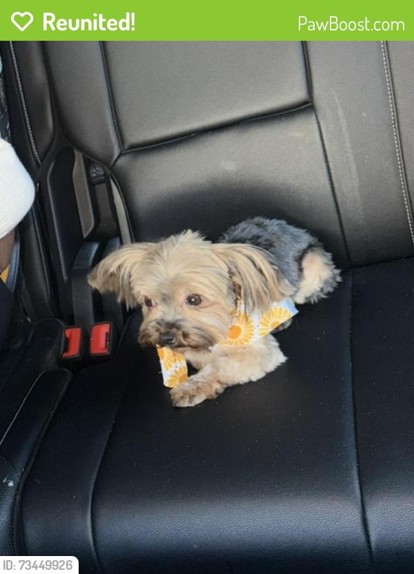 Reunited Female Dog last seen Henrico, Richmond, VA 23238