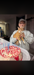 Lost Female Cat last seen Bornsted, Sandy, OR 97055